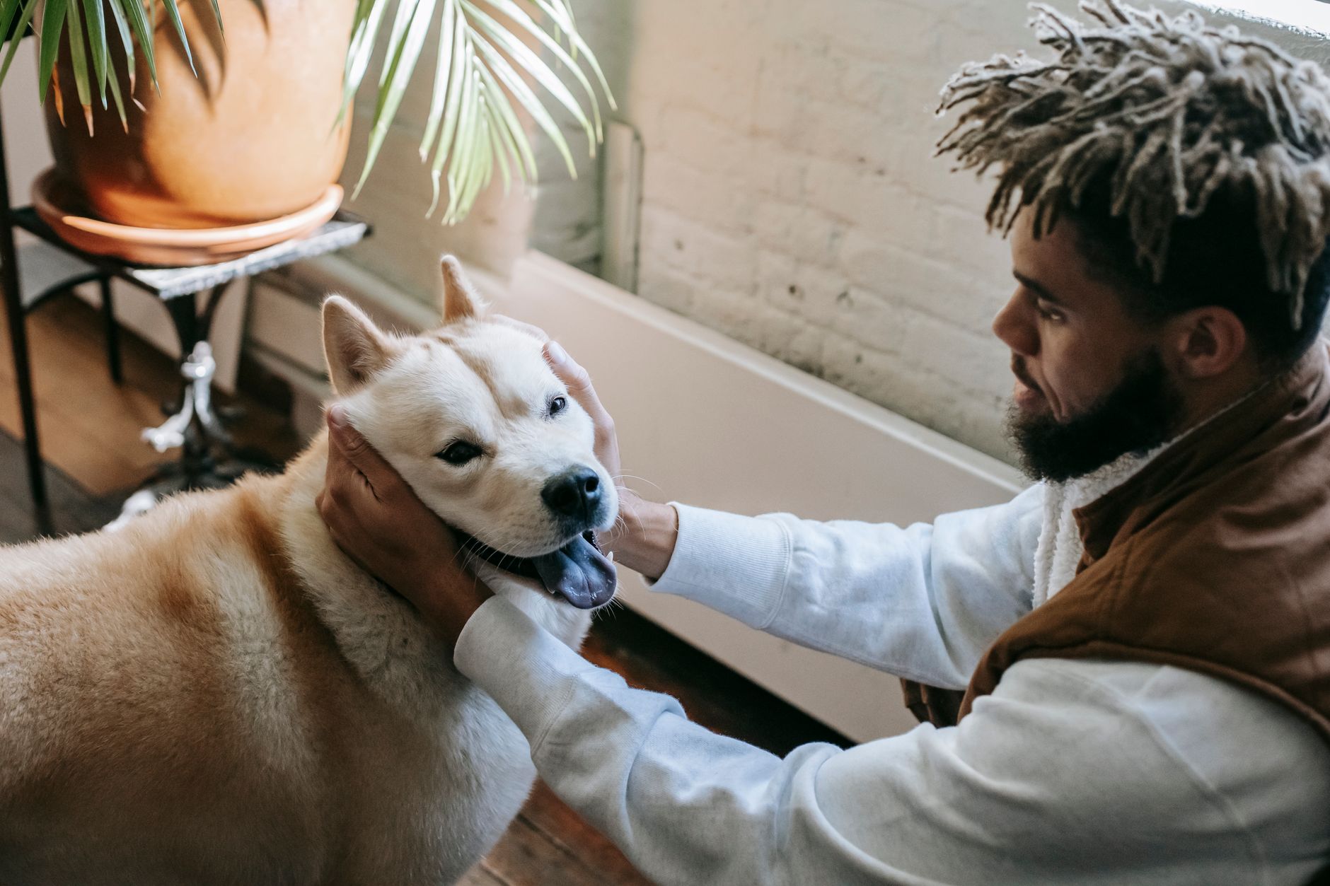 Bien-être animal : les pratiques pour prendre soin de son pet sur la durée